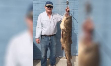 Angler Topples South Carolina Flathead Catfish State Record