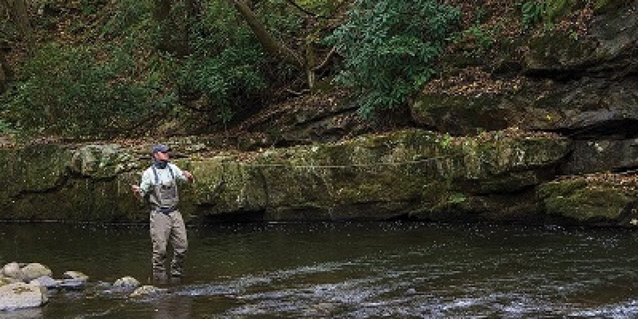 Bay Journal – Federal protection sought for Savage River