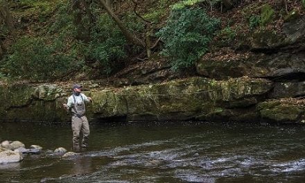 Bay Journal – Federal protection sought for Savage River