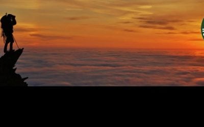 BHA 2018 Online Auction