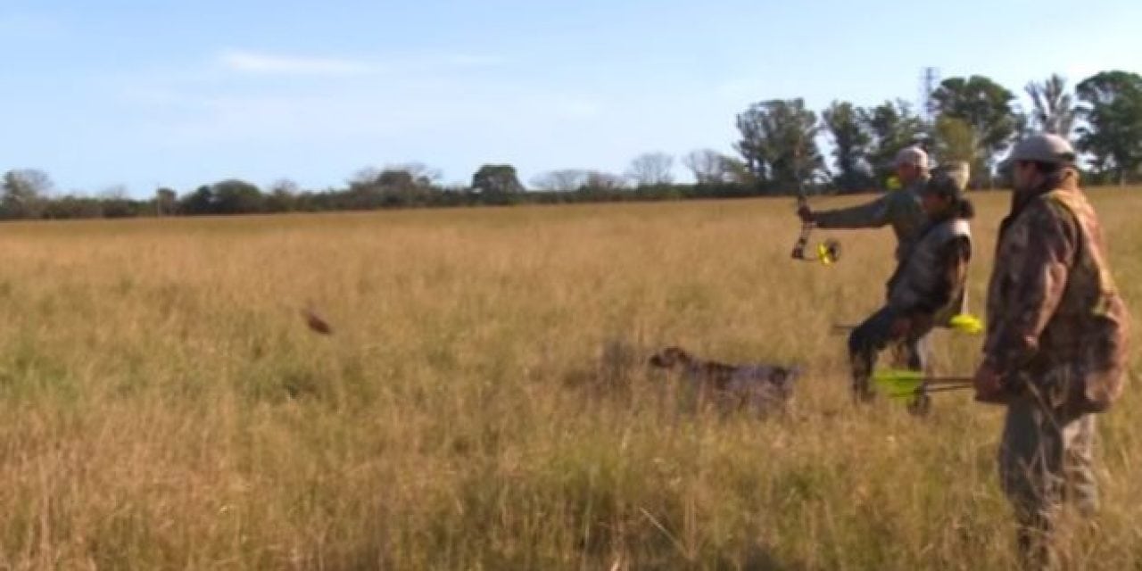 Bowhunting Fast Game Birds in Slow Motion Is Jaw Dropping