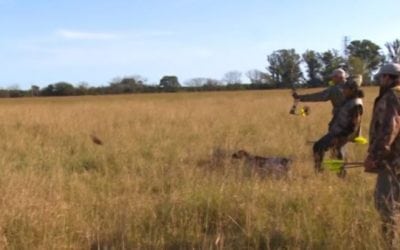 Bowhunting Fast Game Birds in Slow Motion Is Jaw Dropping