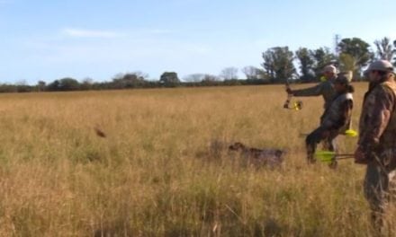 Bowhunting Fast Game Birds in Slow Motion Is Jaw Dropping