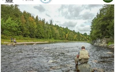 Cooperating for change: environmental advocates & anglers agree