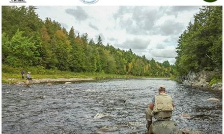 Cooperating for change: environmental advocates & anglers agree