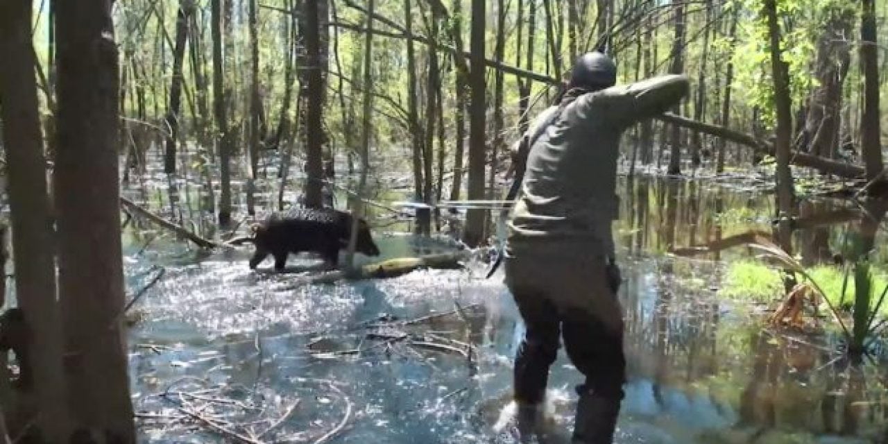 Do You Have What It Takes for a Trad Archery Hog Hunt in the Swamp?