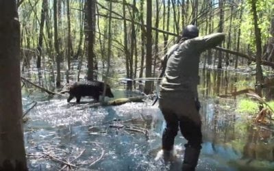 Do You Have What It Takes for a Trad Archery Hog Hunt in the Swamp?