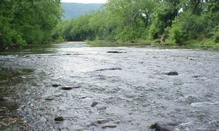 DuPont agrees to pay $50 million to restore contaminated Virginia rivers