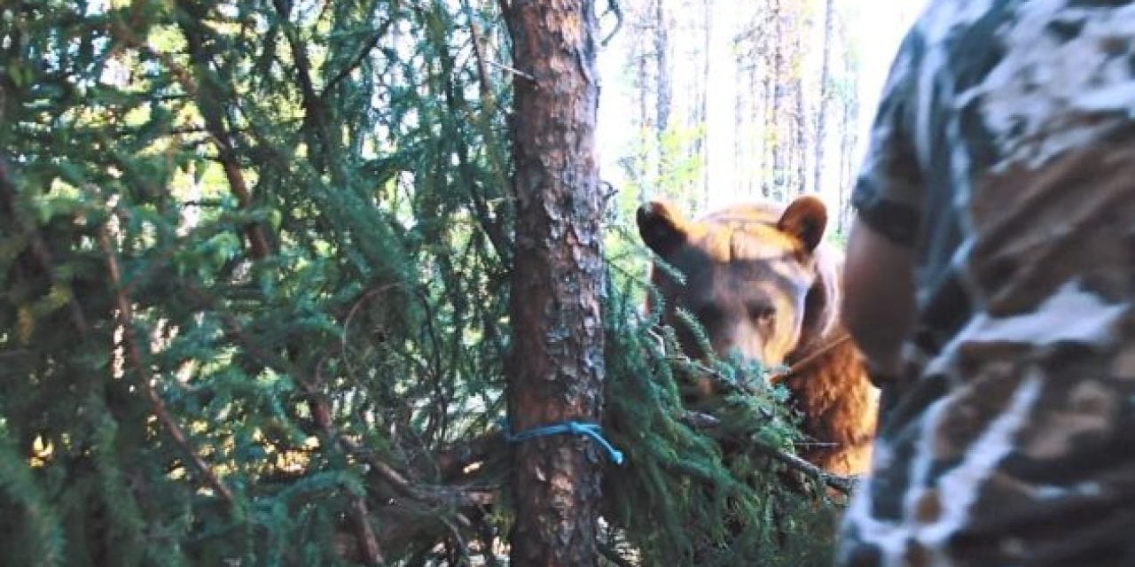 Face-to-Face with a Big Bear and Only a Recurve in Hand