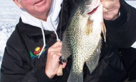 FINICKY PANFISH THROUGH THE ICE