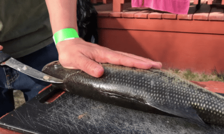 Here’s How to Fillet a Bass the Boneless Way