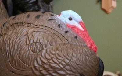 It’s Turkey Time: Rinehart’s New Woodland Strutting Turkey Target