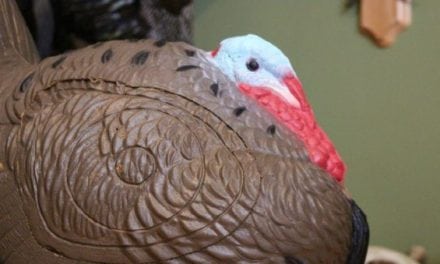 It’s Turkey Time: Rinehart’s New Woodland Strutting Turkey Target