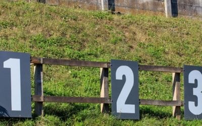 Make Backyard Plinking a Reality with the Right Air Rifles