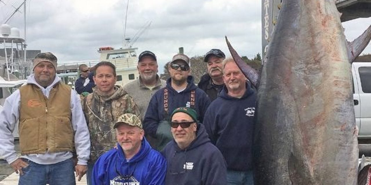 N.C. Division of Marine Fisheries Announces New Bluefin Record
