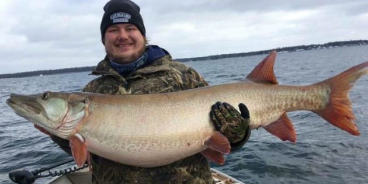 New Minnesota Record Musky