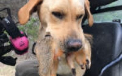 Nugent: The Lessons of the Wild Never End