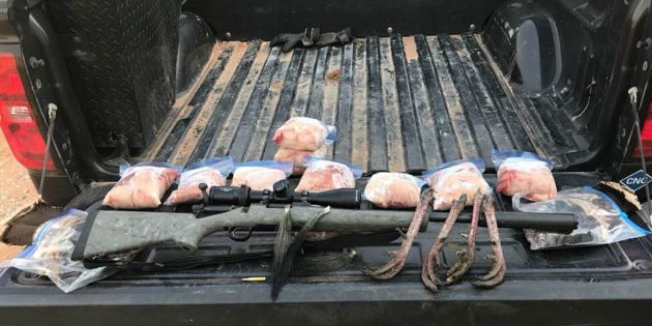 Oklahoma Wardens Catch Poacher Who Killed 5 Turkeys with Suppressed Rifle
