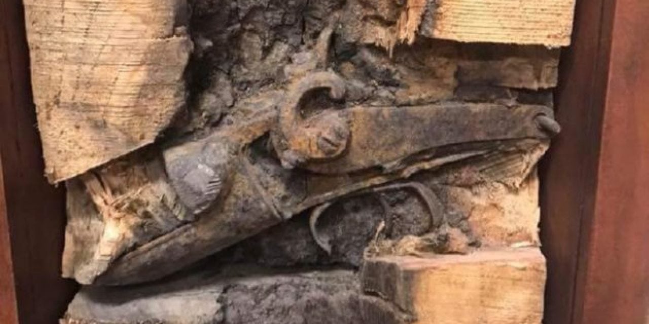Old Flintlock Gun Discovered Inside Milled Tree in Australia