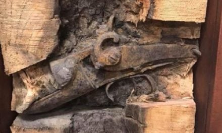 Old Flintlock Gun Discovered Inside Milled Tree in Australia