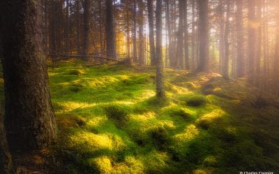 Photo Of The Day By Charles Cormier