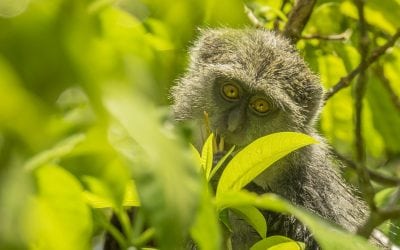 Photo Of The Day By Cheri Anderson