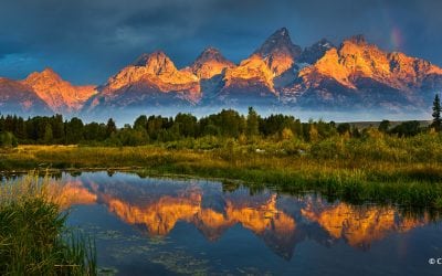 Photo Of The Day By Craig Stocks