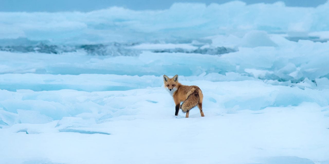 Photo Of The Day By Fred Lemire