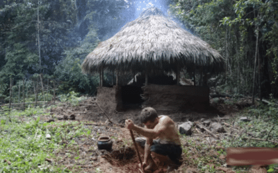 Primitive Technology: Build a Rain-Proof Hut in the Jungle