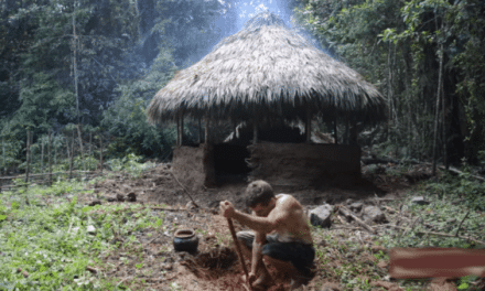 Primitive Technology: Build a Rain-Proof Hut in the Jungle
