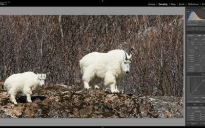 reCOMPOSE Podcast 030: Lightroom Series #2, The Develop Workflow