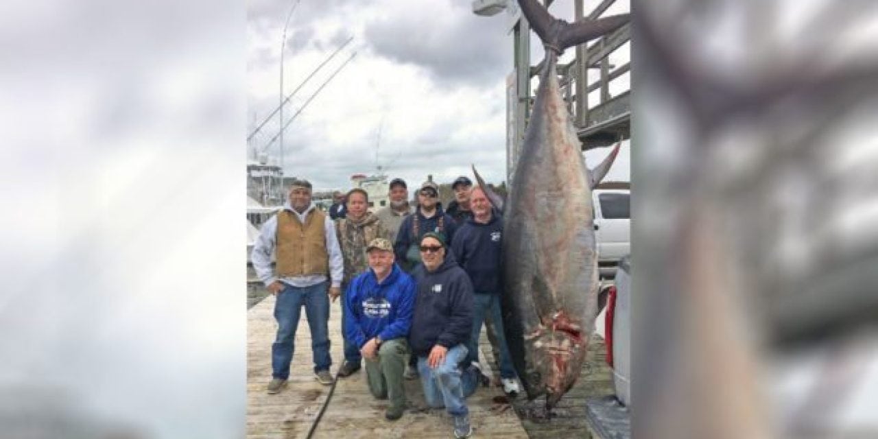 Retired Army General Crushes Bluefin Tuna Record