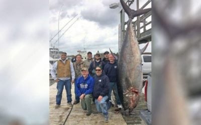 Retired Army General Crushes Bluefin Tuna Record
