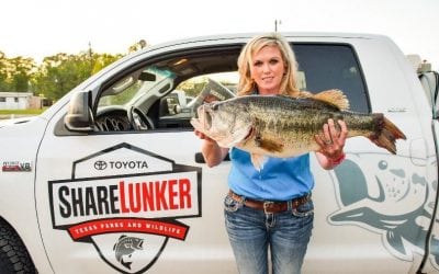 Sam Rayburn Yields A Texas ShareLunker Giant