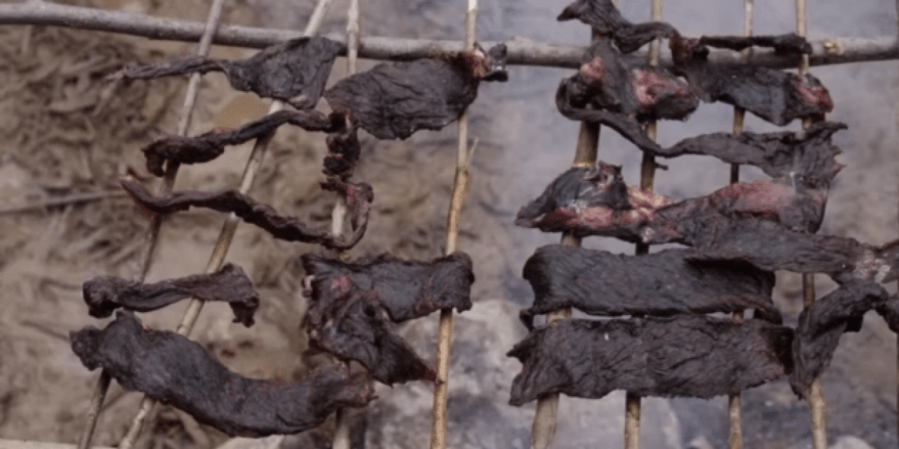 Smoking Buffalo Meat Just Like the Early Frontiersmen