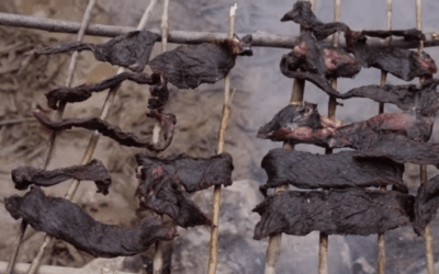 Smoking Buffalo Meat Just Like the Early Frontiersmen