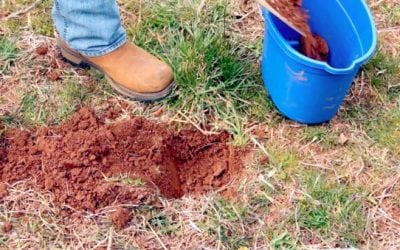 Soil Samples: The First and Most Important Step in Building a Food Plot