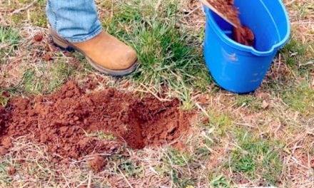 Soil Samples: The First and Most Important Step in Building a Food Plot