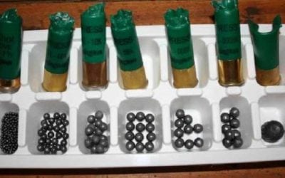 Sunday Gunday: 5 Reasons Why the 12 Gauge is Still King