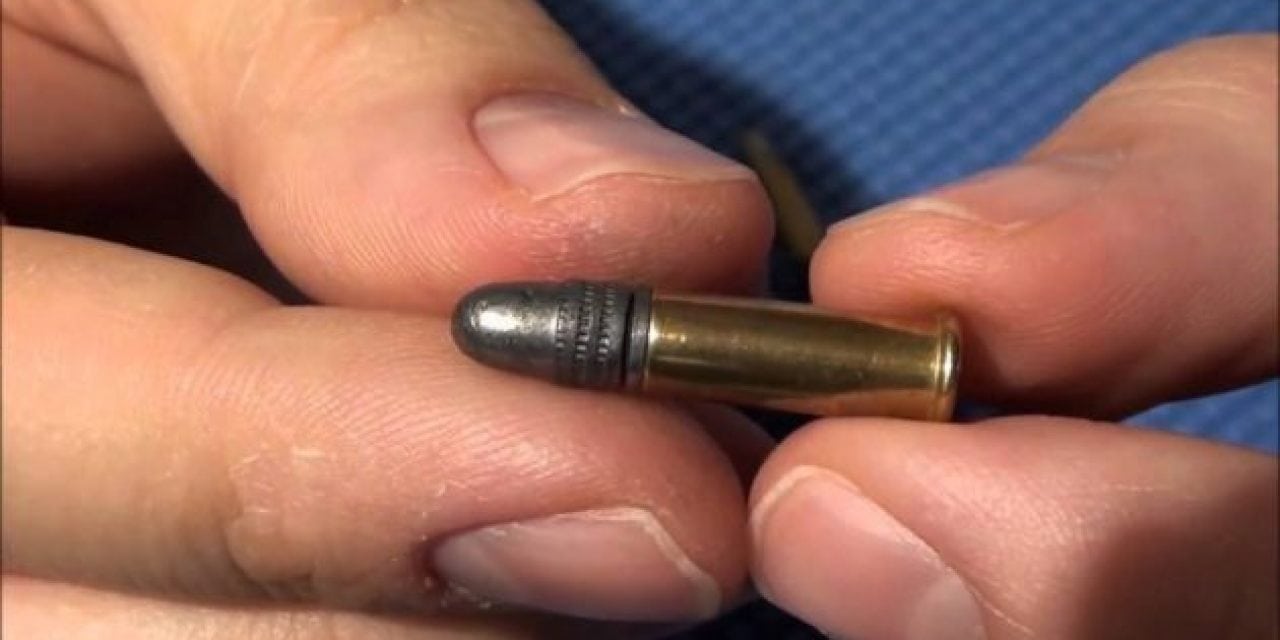 Sunday Gunday: 7 Reasons Why We Love the .22 Long Rifle Cartridge