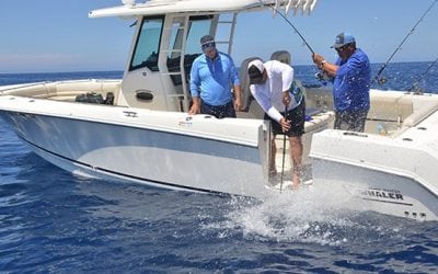 Tackle for Targeting Tremendous Tuna