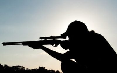 The Best Ammo for Backyard Pests