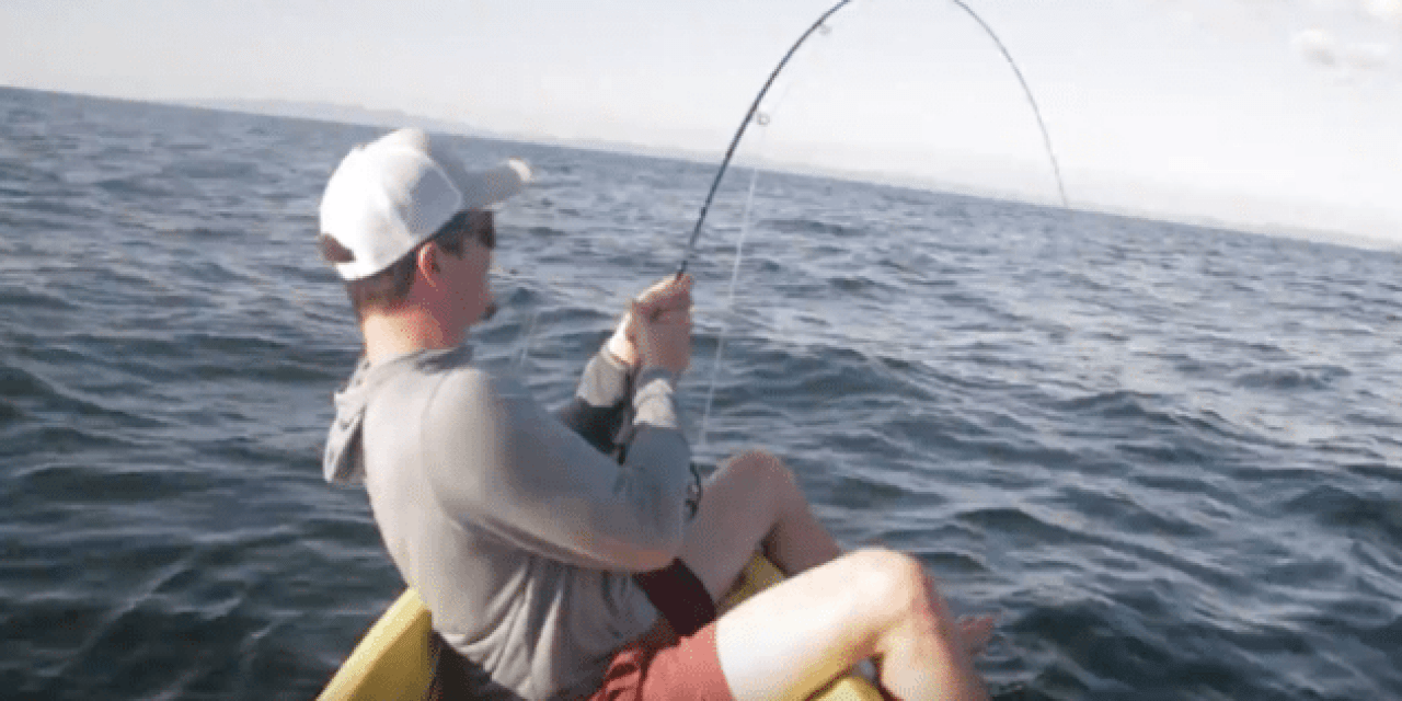 These Guys Guide for Roosterfish Using Kayaks in Costa Rica