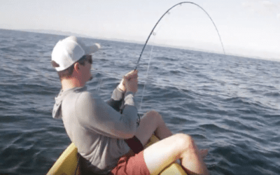 These Guys Guide for Roosterfish Using Kayaks in Costa Rica