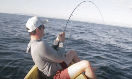 These Guys Guide for Roosterfish Using Kayaks in Costa Rica