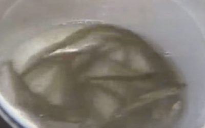 Throwback Thursday: Smelt Dippin’ Has Always Been Wild