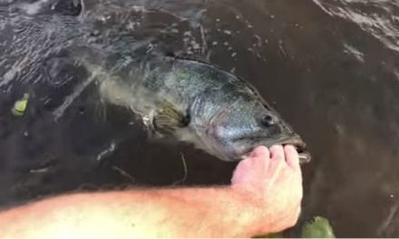 Video: Bass Refuses to Let Go of This Guy’s Hand