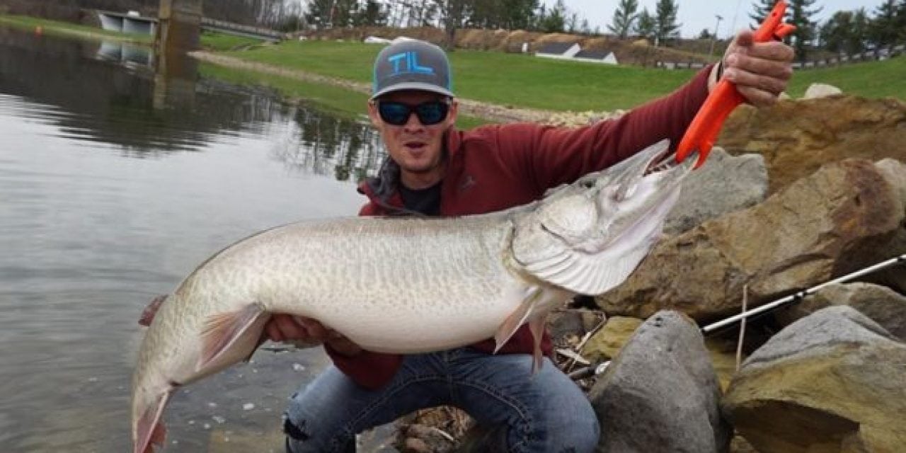 Video: Could This Be the New Ohio State Record Muskie?