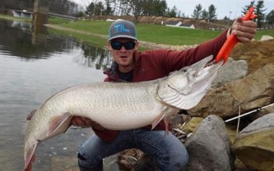 Video: Could This Be the New Ohio State Record Muskie?