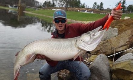 Video: Could This Be the New Ohio State Record Muskie?